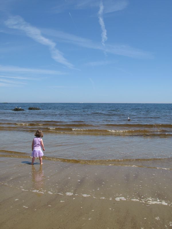 Girl and Gull