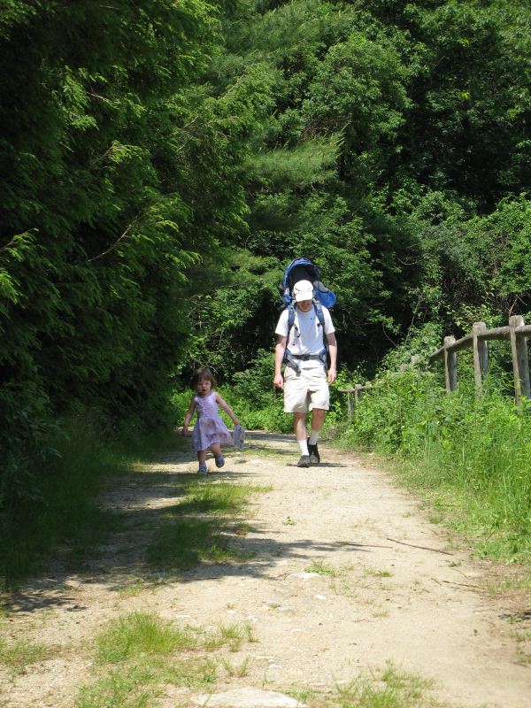 Forest Trail