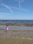 Girl and Gull