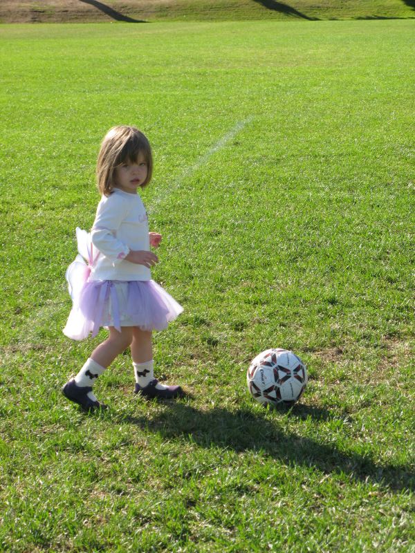 The Soccer Fairy
