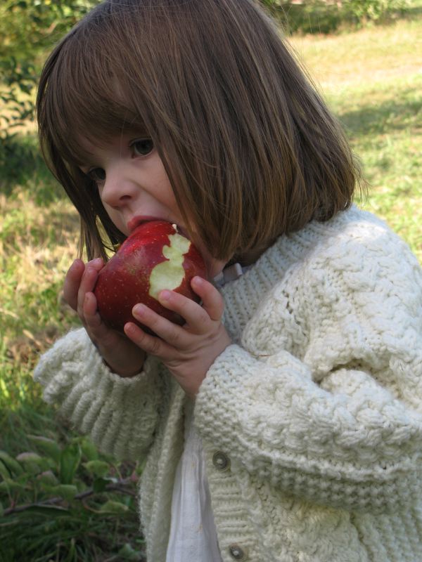 Another Fall, Another Orchard