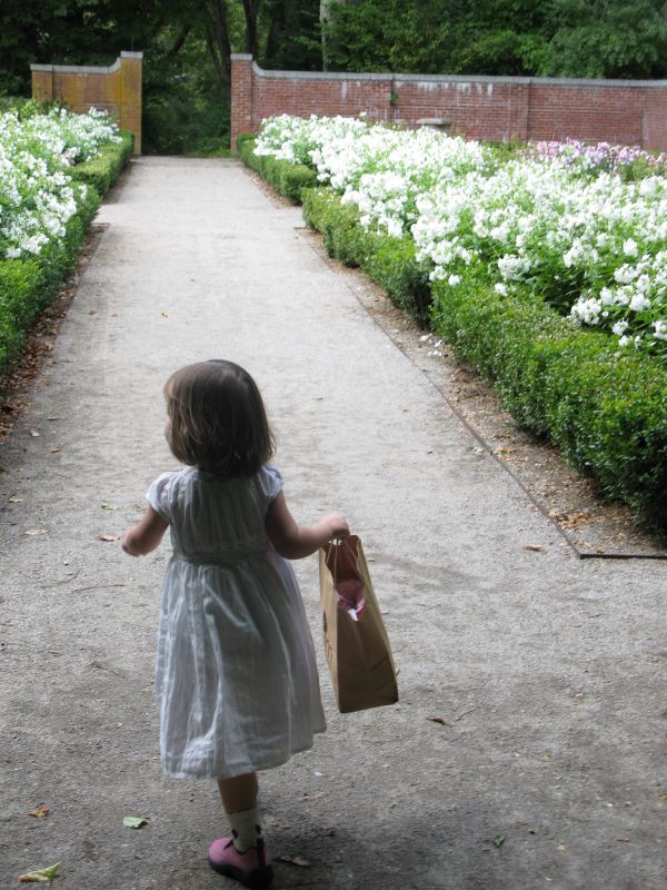 White Flowers