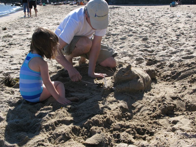 Sand Kitty