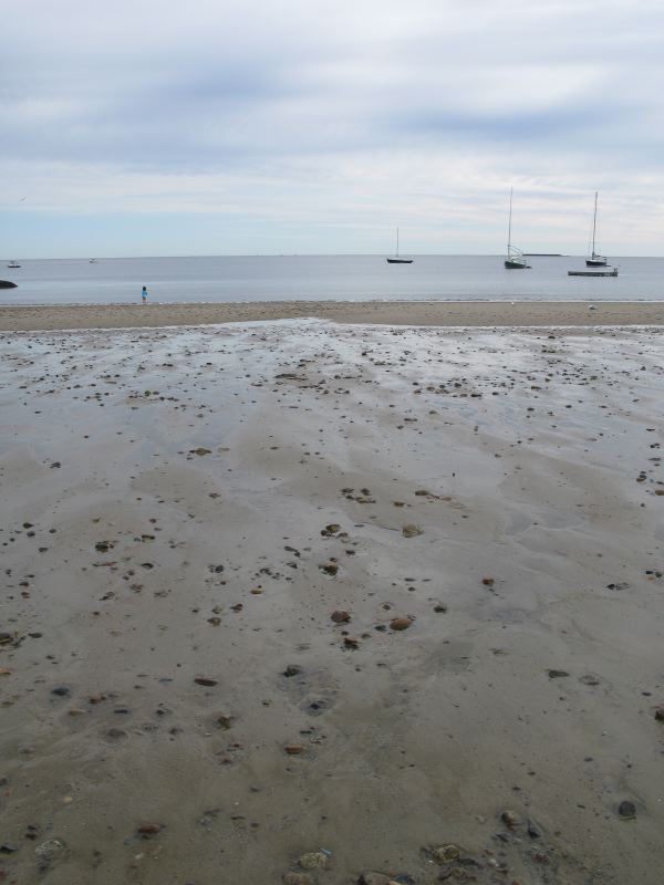 Low Tide