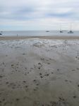 Low Tide