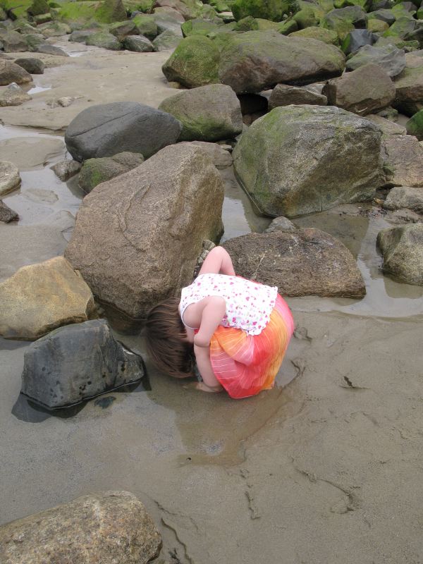 Tide Pool Peer