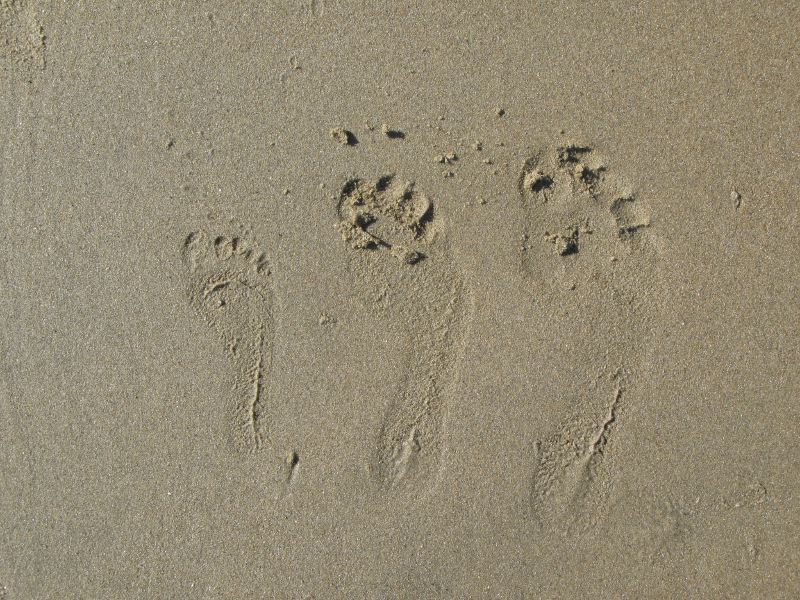 Family Footprint