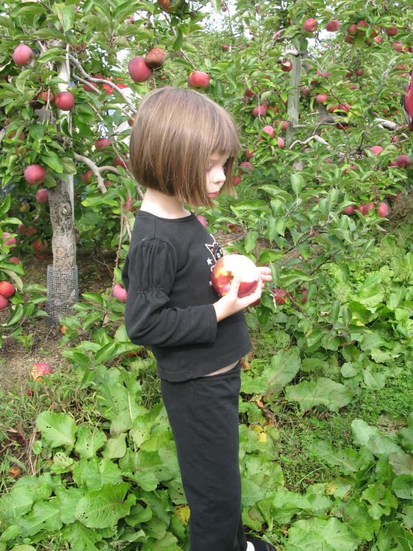 Another Orchard, Another Apple