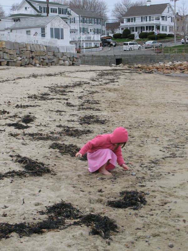 Cold Day at the Beach