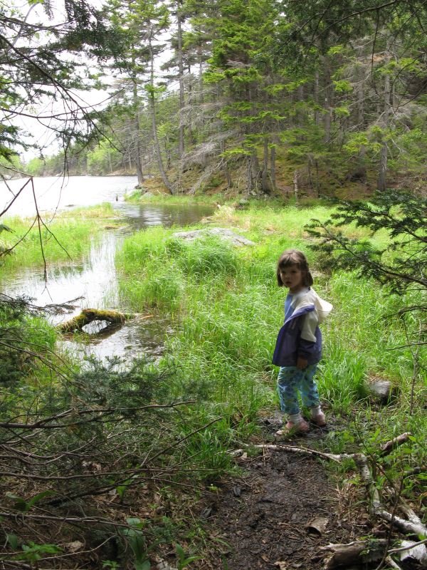 Lost Pond, May 2009