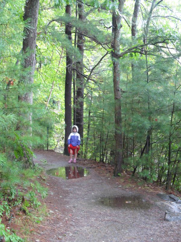 Rainy Walden Pond Hike