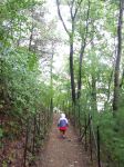 Rainy Walden Pond Hike