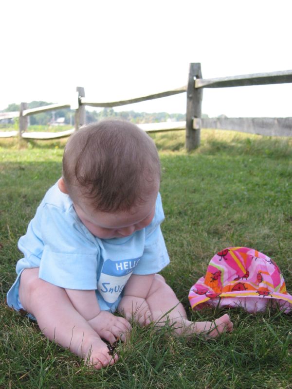 Grass Is Fascinating