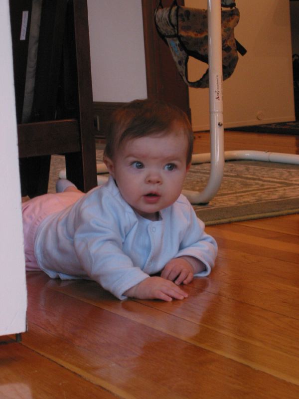 Backing Under the Sofa