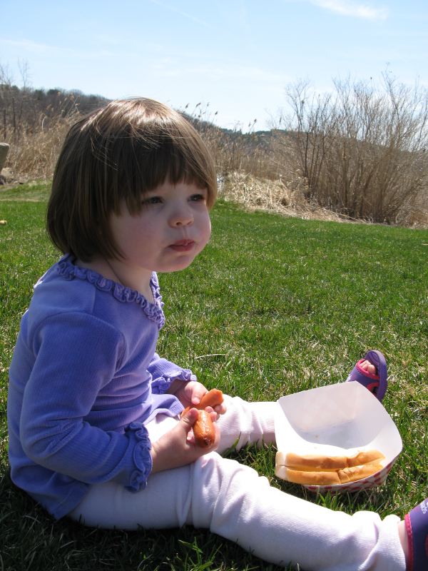 Picnic at Woodman's