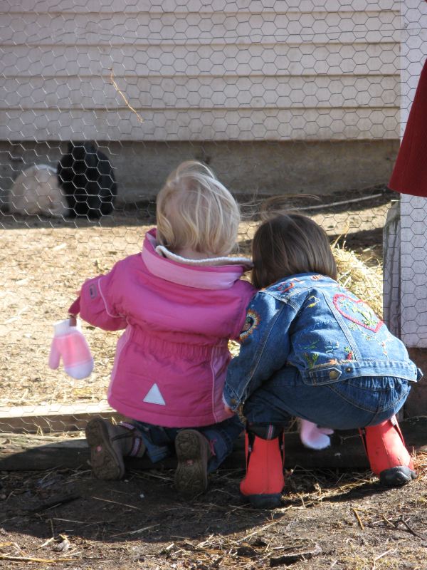 Showing Astrid the Bunnies