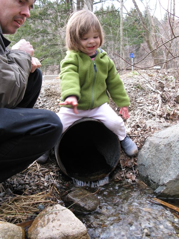 Pooh Sticks: Coming Out